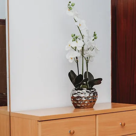 דירה Mare זאדאר