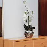 公寓 Mare 扎达尔